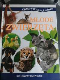 Książka o młodych zwierzętach