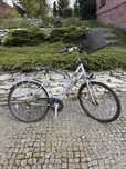 rower damski unibike
