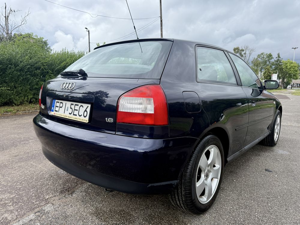Audi A3/2002r/1.6 Pb/nowy przeglad/bez korozji!