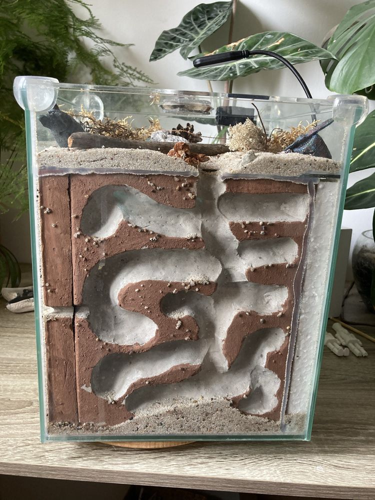 Formikarium 19 l.