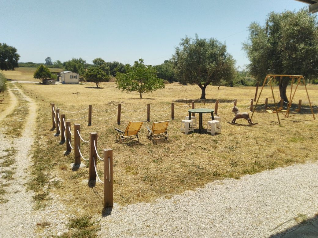 Limpeza de terrenos