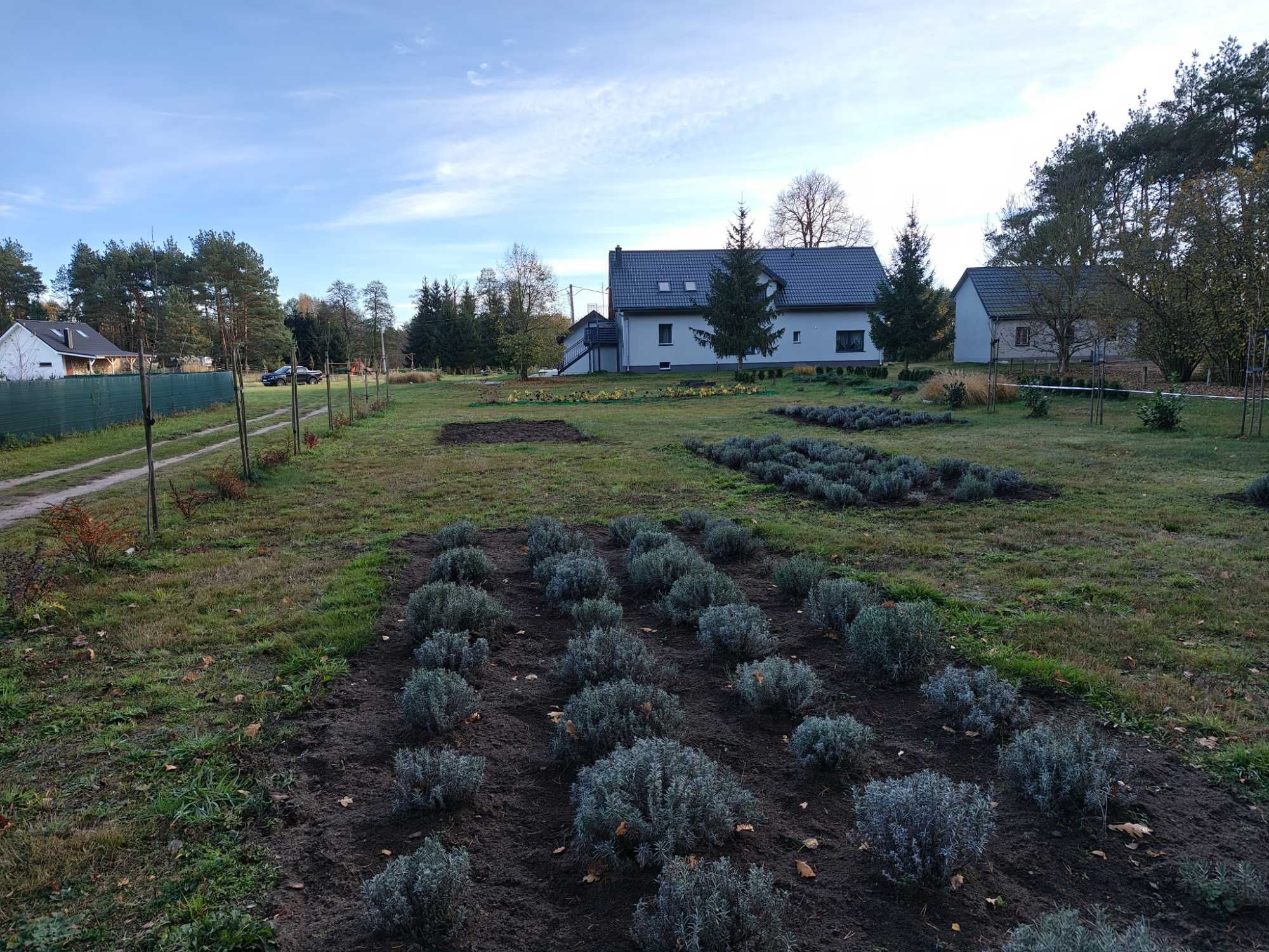 Agroturystyka Wiktorówka Chojno-Młyn