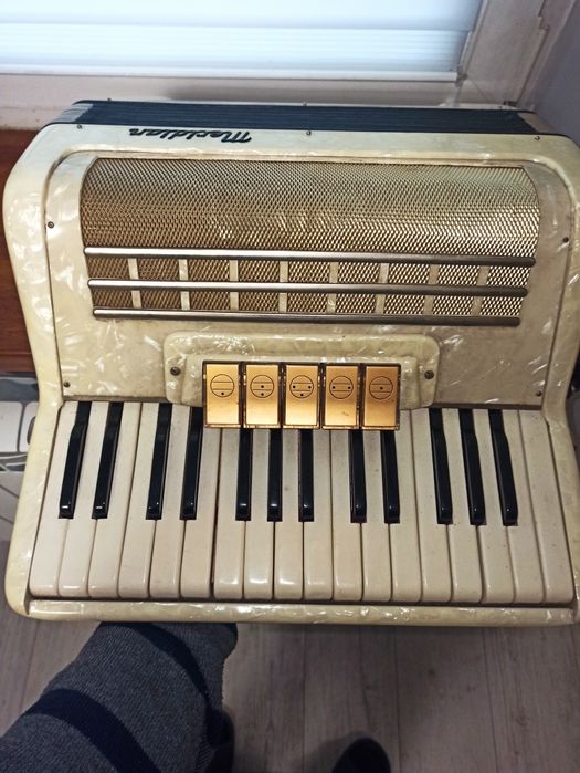 Akordeon Meridian 72 basy