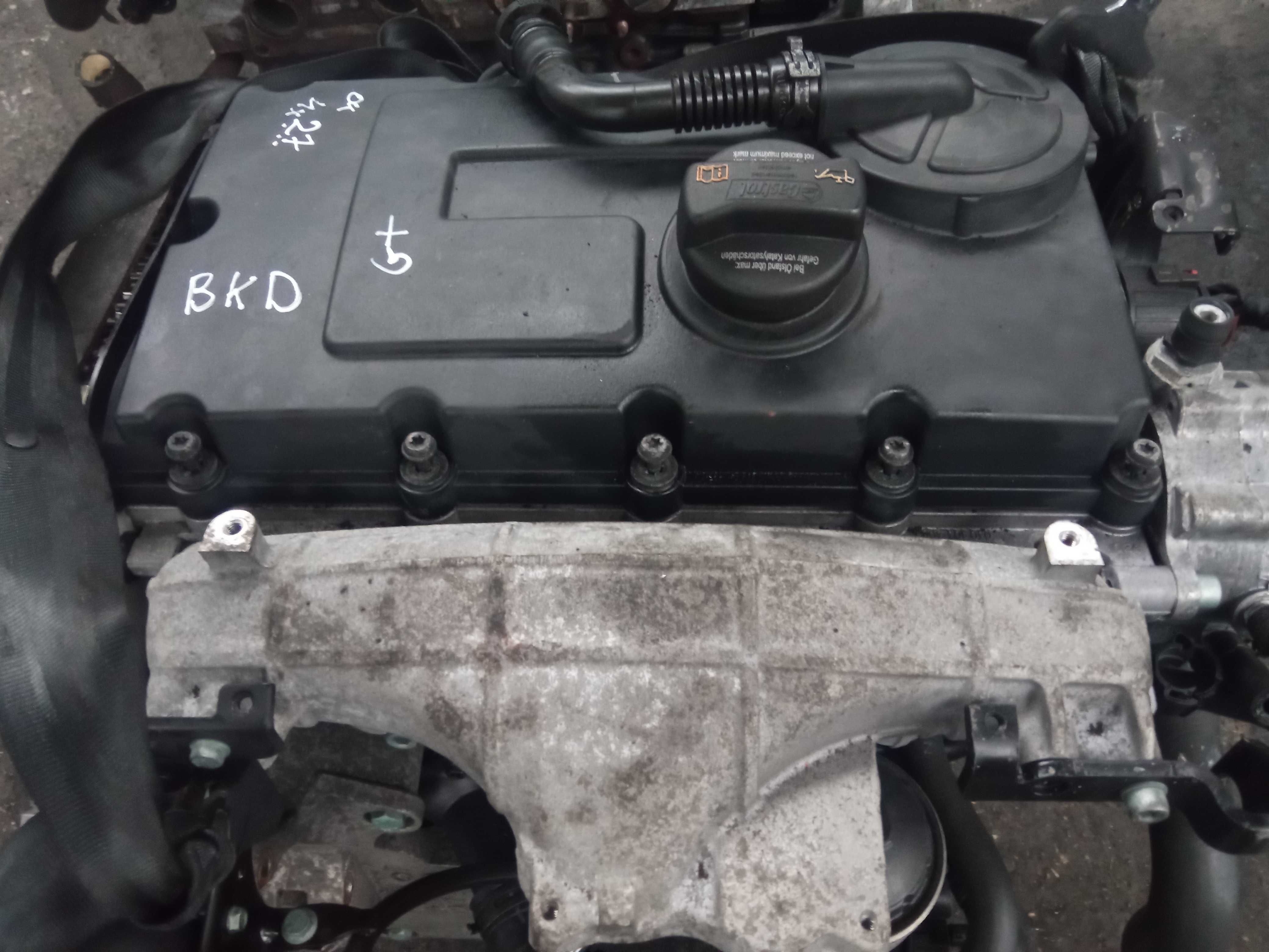 Silnik BKP VW Touran Golf V Skoda Octavia 2.0 TDI 07r Siedlce