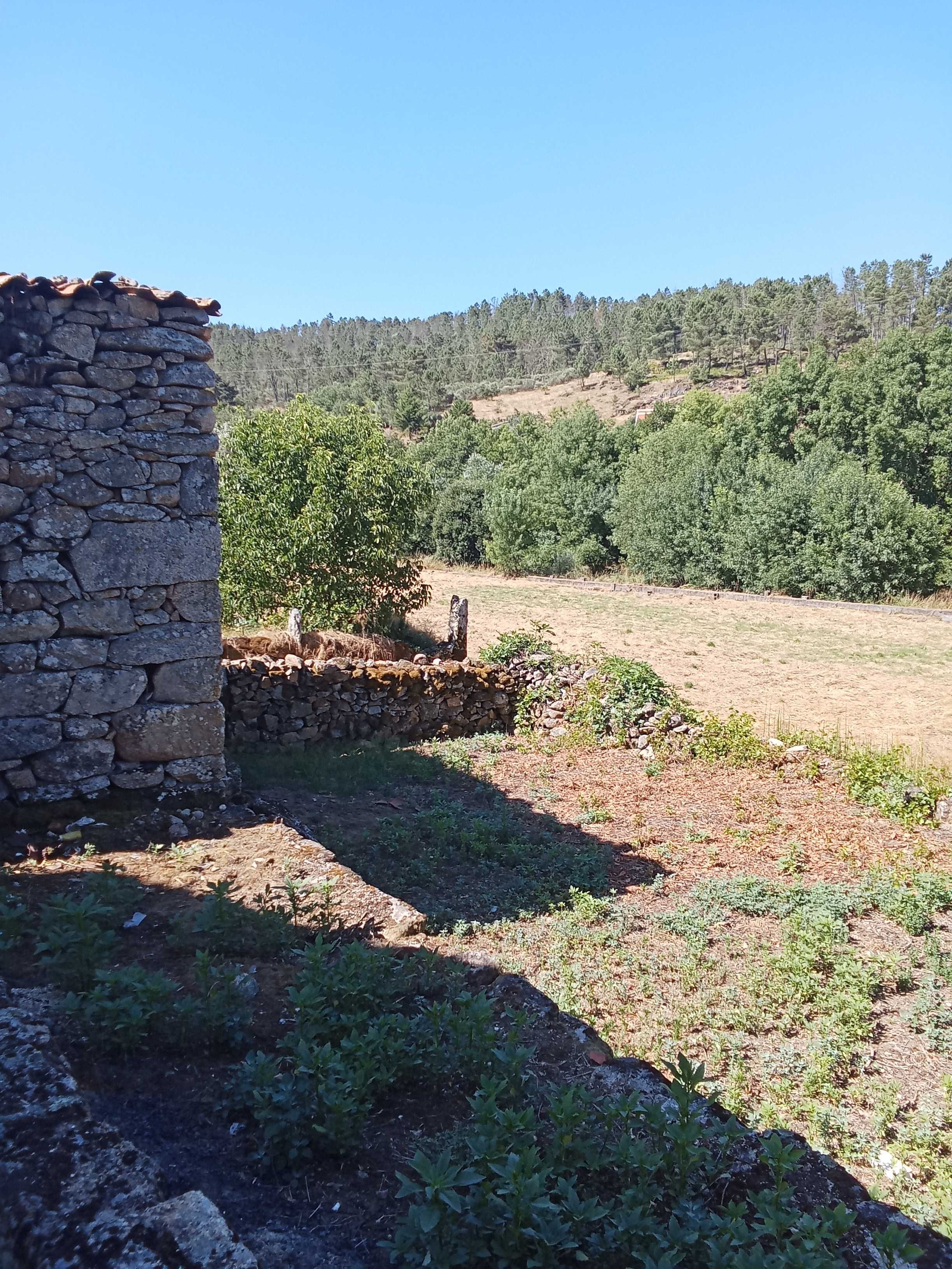 Casa antiga com quintal