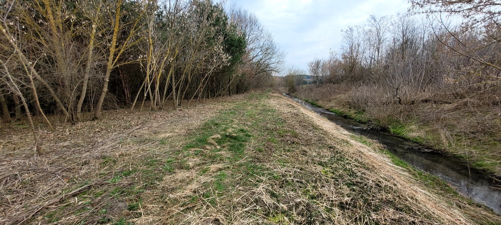 Działka budowlana Ożarów z dużym własnym lasem 1.85ha