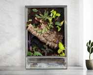 Terrarium gekon, jaszczurka 40x40x60