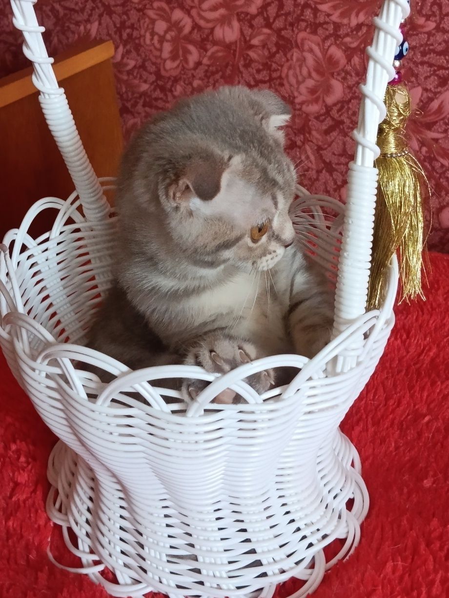 Дуже ласкавий хлопчик
