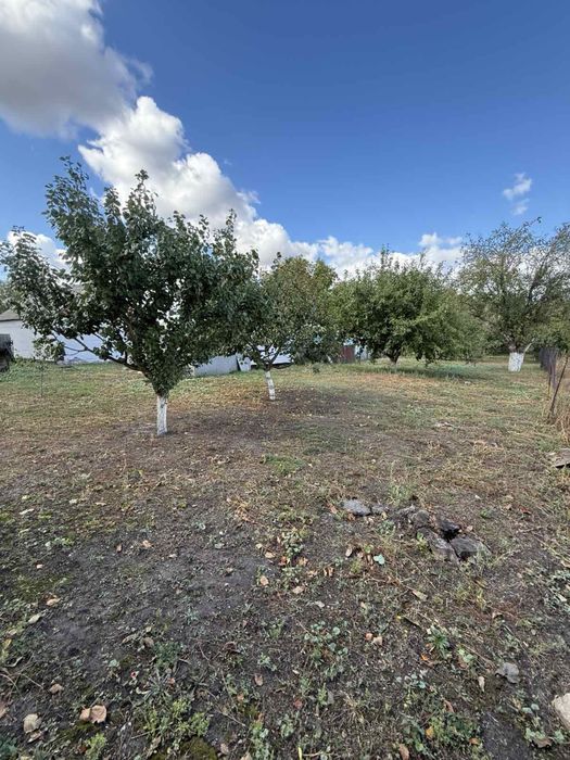 Продам булинок в с. Телешівка (Рокит. району) Держ програми