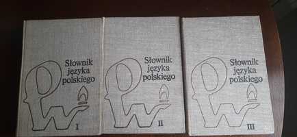 Slownik języka polskiego  , PWN, Warszawa 1985