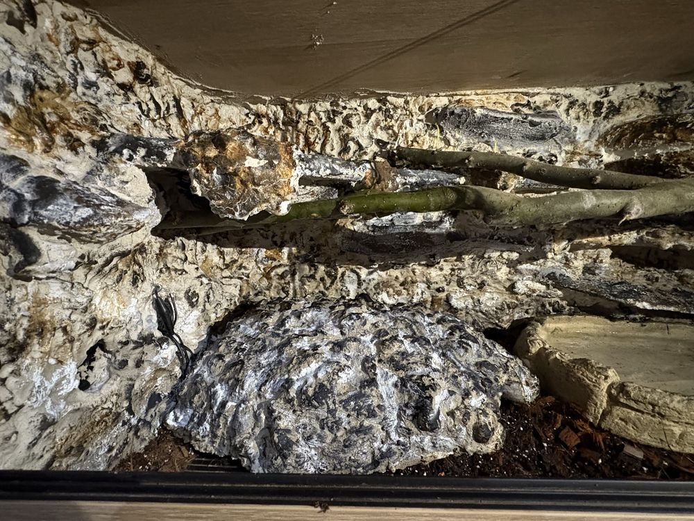 Terrarium terrarium