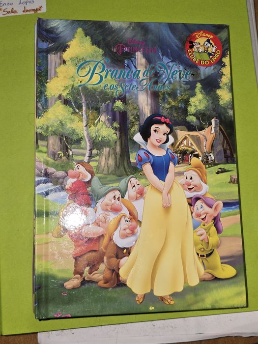 Conjunto mágico de 8 livros infantis da Disney!