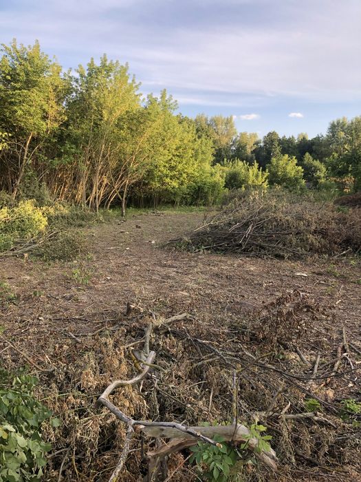Випилка участків ,спил дерев, розмил дров