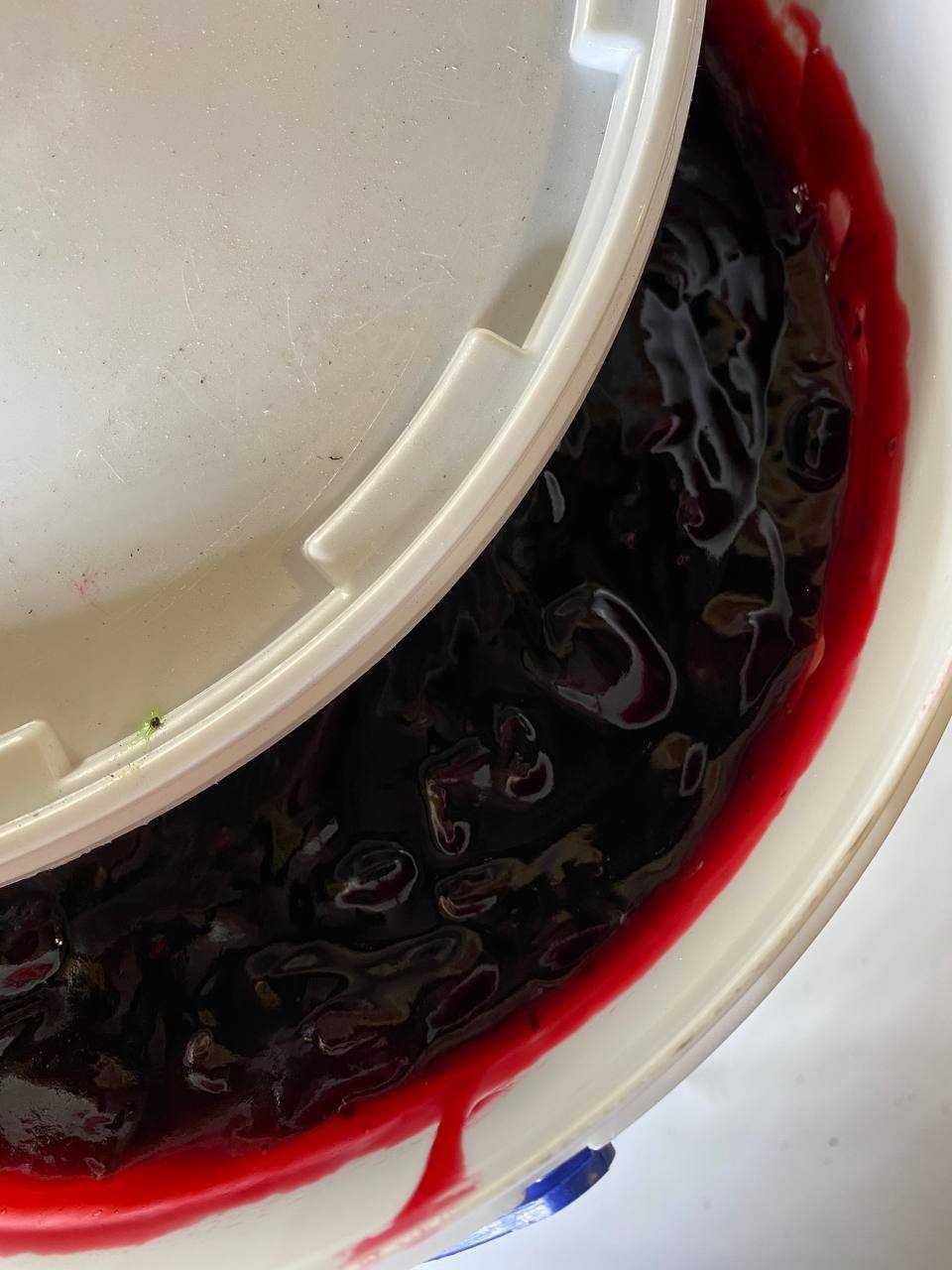 Наполнитель с кусочками Жимолости, 1 кг.
