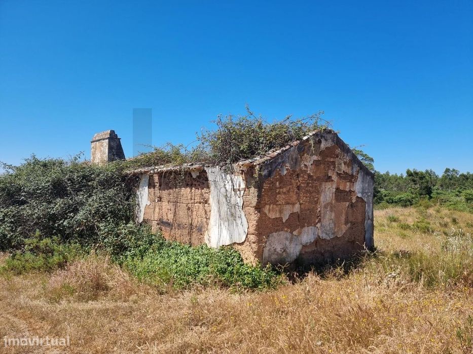 Herdade no coração do Alentejo Litoral - Santiago do Cacém