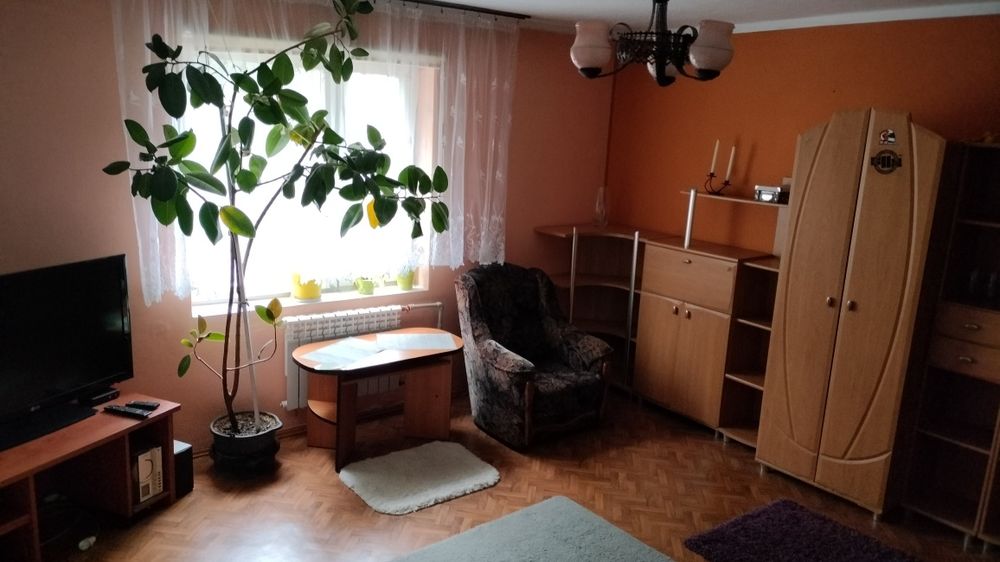Pokój do wynajęcia