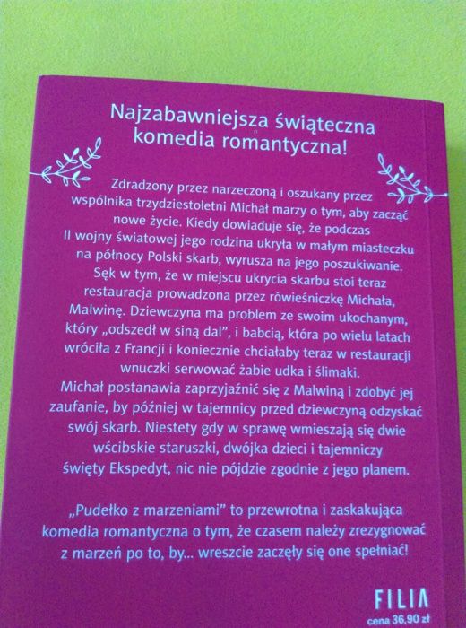 Książka "Pudełko z marzeniami" M. Witkiewicz i A. Rogozińskiego