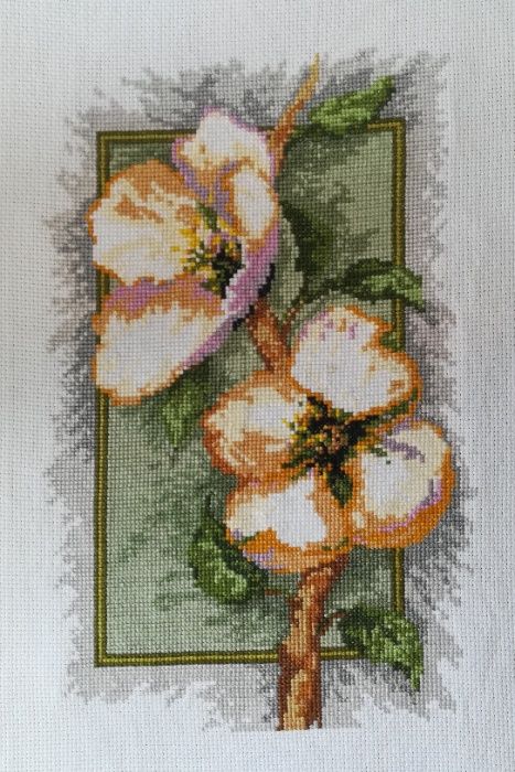 Quadros em ponto cruz