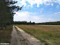 NOWE MIERZWICE - dz. nr 162/8 - pierwszy przetarg ustny nieograniczony
