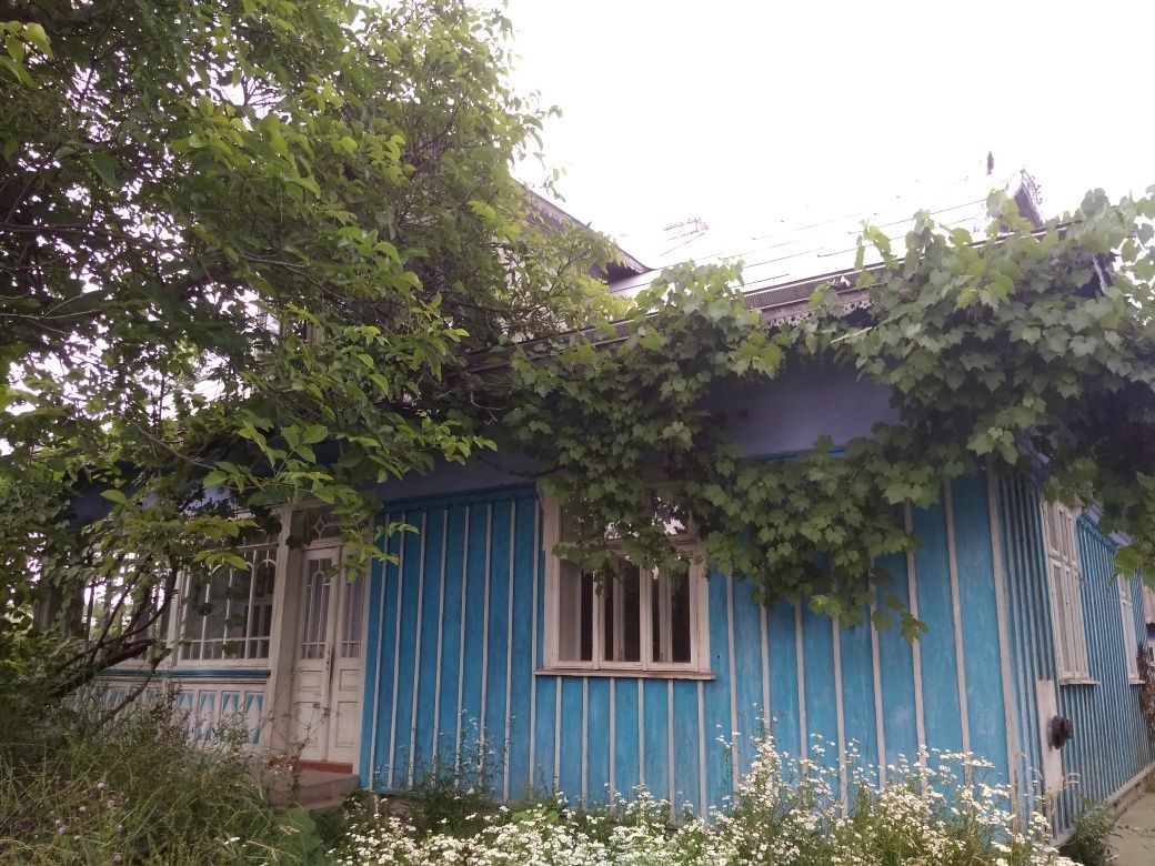 Продається газифіковане господарство в с. Іллінці Коломийського р-ну