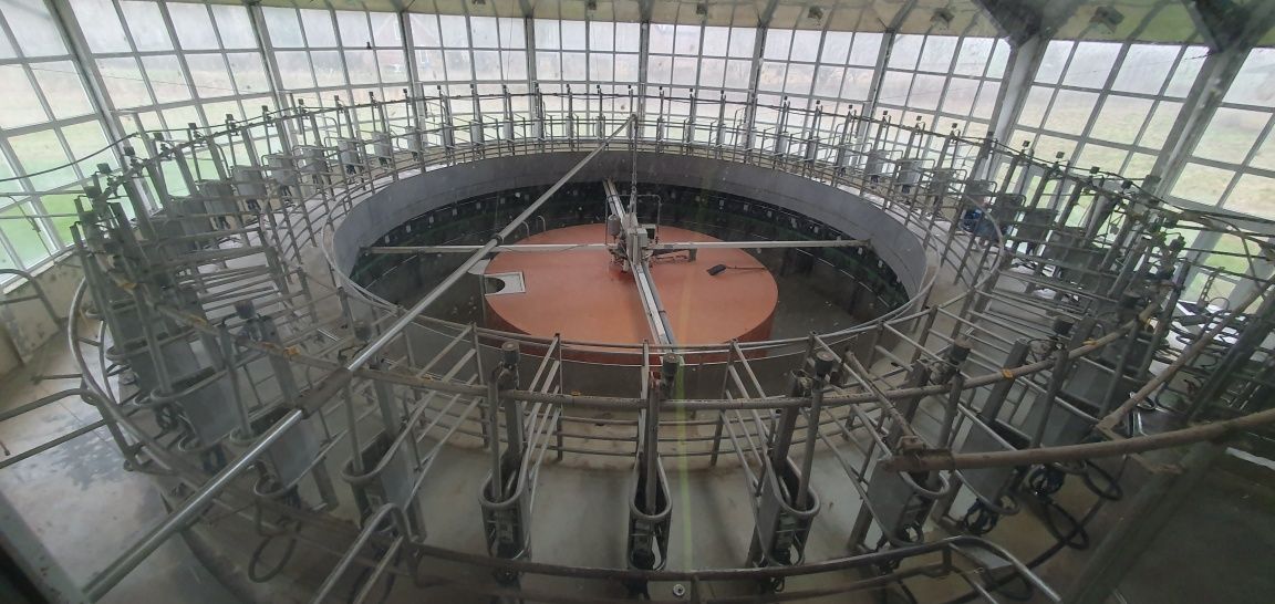 Karuzela udojowa GEA AutoRotor Global 48 hala robot delaval lely