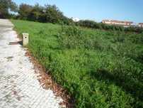 Lote de Terreno em Albergaria-a-Velha