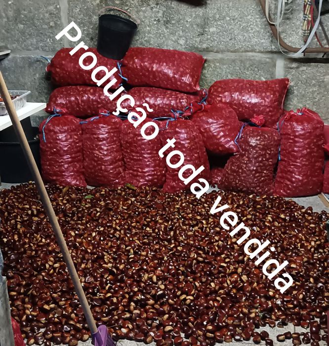 Castanhas Martinha, do produtor, com entrega ao domicílio