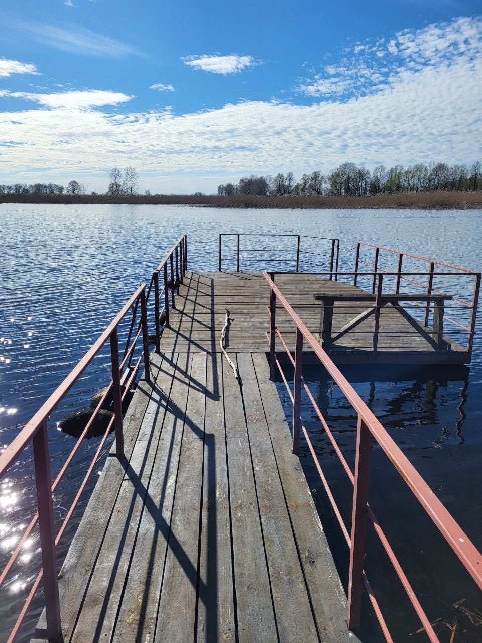 Будинок біля води серед соснового лісу