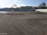 Terreno para Construção - Azambuja