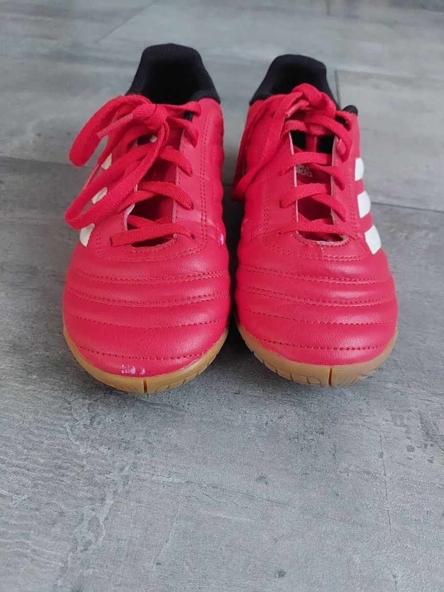 Buty piłkarskie, halówki, Adidas, r.36