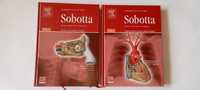 Атлас анатомія людини Sobotta в 2х томах