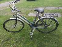 Rower Damka  Gazelle Bahia