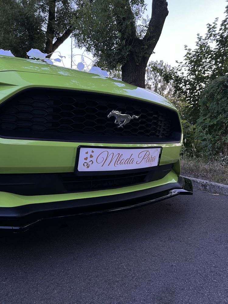 Ford Mustang 2.3 EcoBoost 317 KM do Ślubu i Innych Okazji