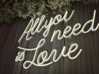 Ledon napis All you need is love wypo