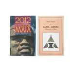 Livros Dulce Regina Alma gémea Alberto Beuttenmuller 2012 profecia