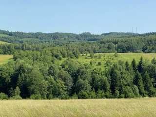 Działka rolna w BIESZCZADACH