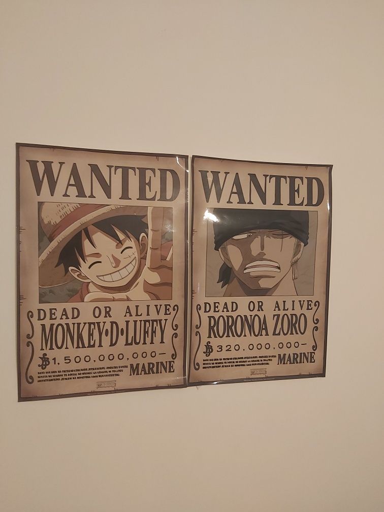 Poster do luffy e do zoro