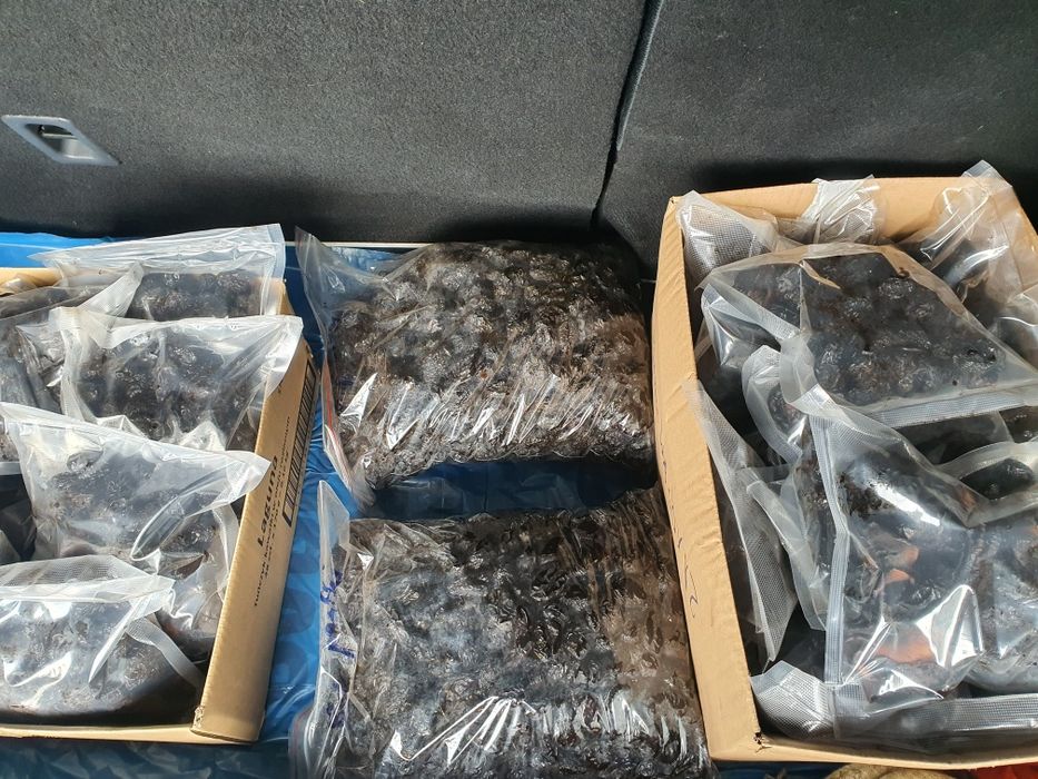 Śliwka i gruszka suszone -tradycyjnie wędzone