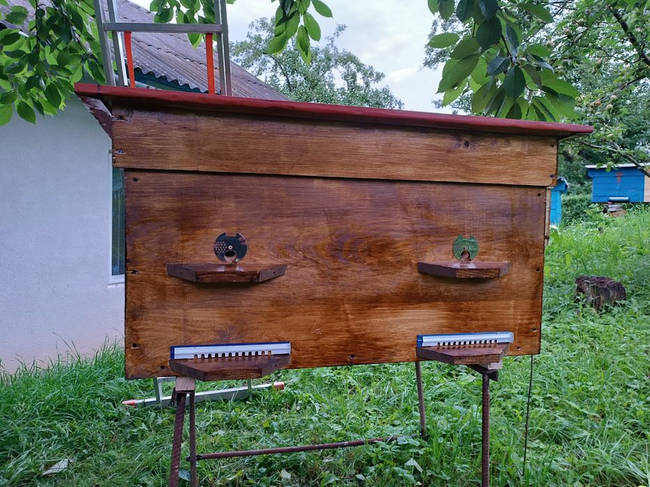 Вулики лежаки і корпусні.