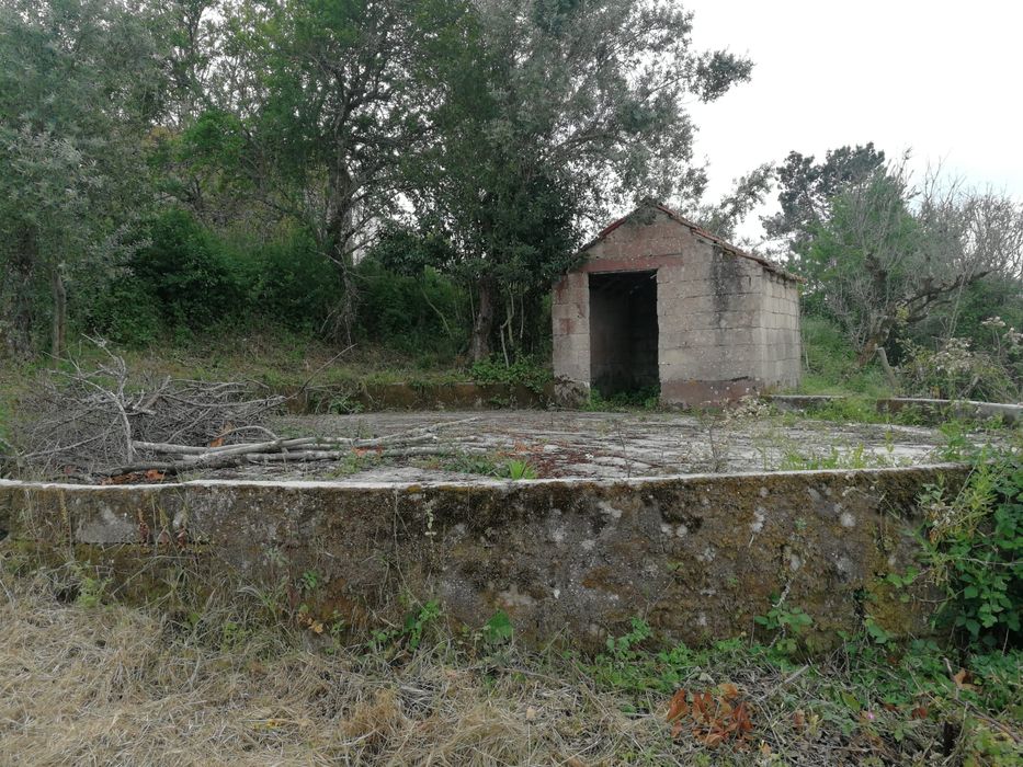 Terreno com casa em ruinas