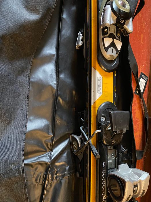 Горнолыжные лыжи