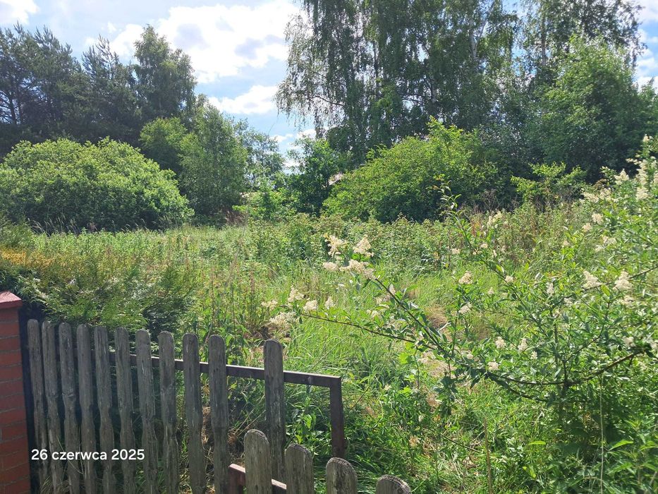 Czyszczenie działek usuwanie krzaków ,drzew .korzeni, frezowanie pni