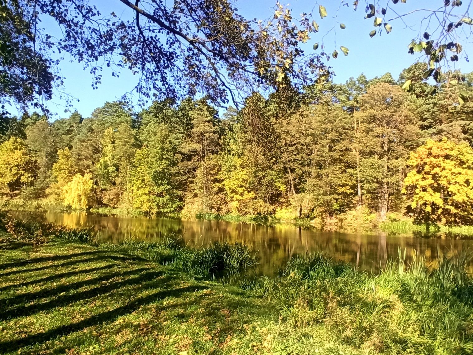 Продаж, Земельна  Ділянка, біля Річки! 1,88 Га