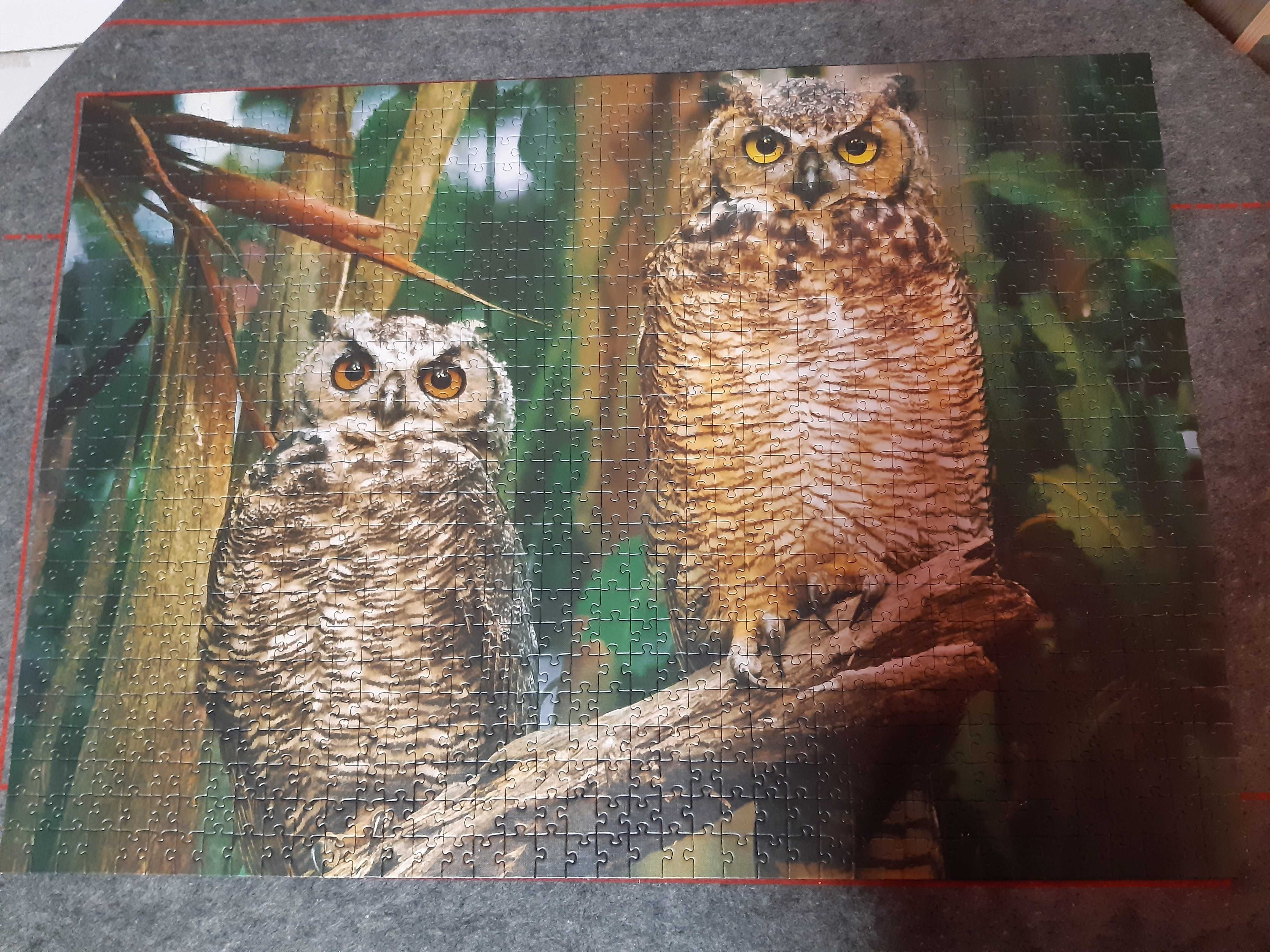 Trefl puzzle Sowy 1000