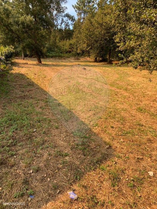 Terreno  para venda