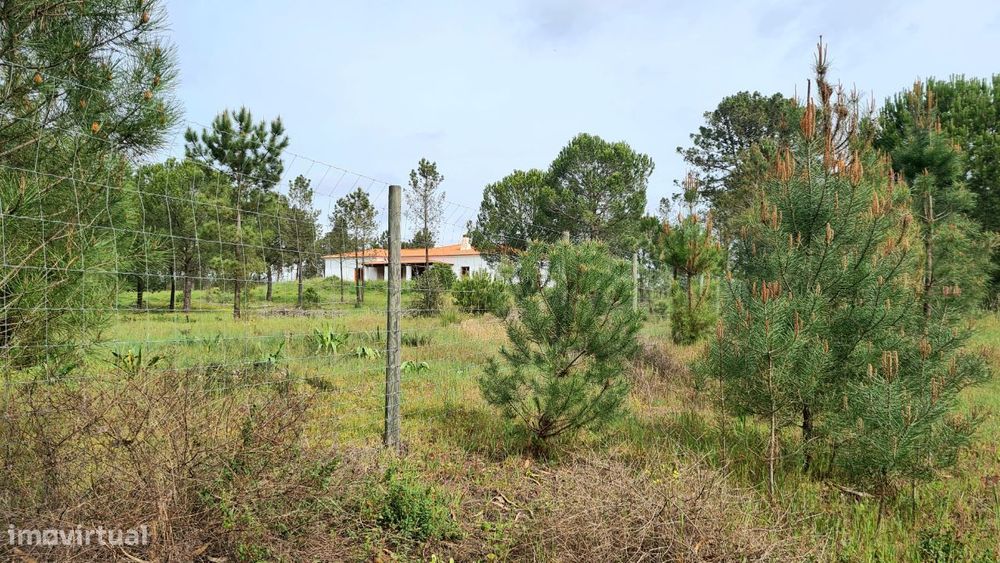 Lote de terreno rústico em Santarém