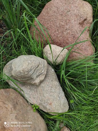 Kamienie na skalniak, do ozdoby ogrodu