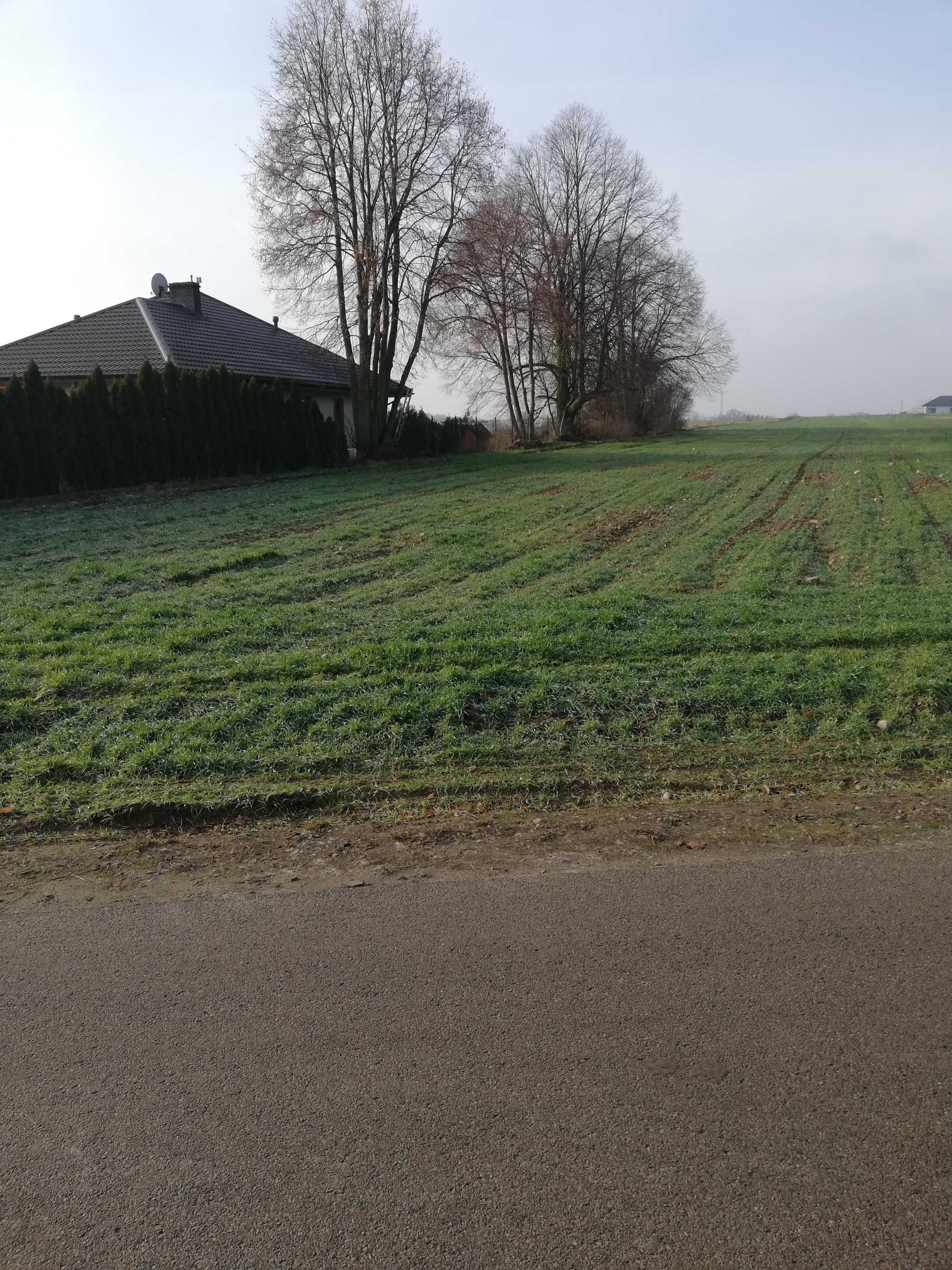 Sprzedam działki budowlane w Borkowie Kościelnym