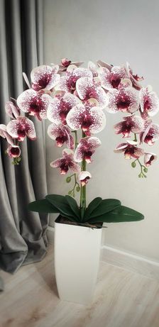 Орхідея Латексна.  Латексная орхидея напольная ваза