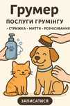 Послуги грумінгу, грумер